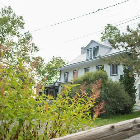 Hotel Le Triangle d'été - auberge écoresponsable&yoga à Saint-Laurent-de-l'ile d'Orleans Extérieur photo