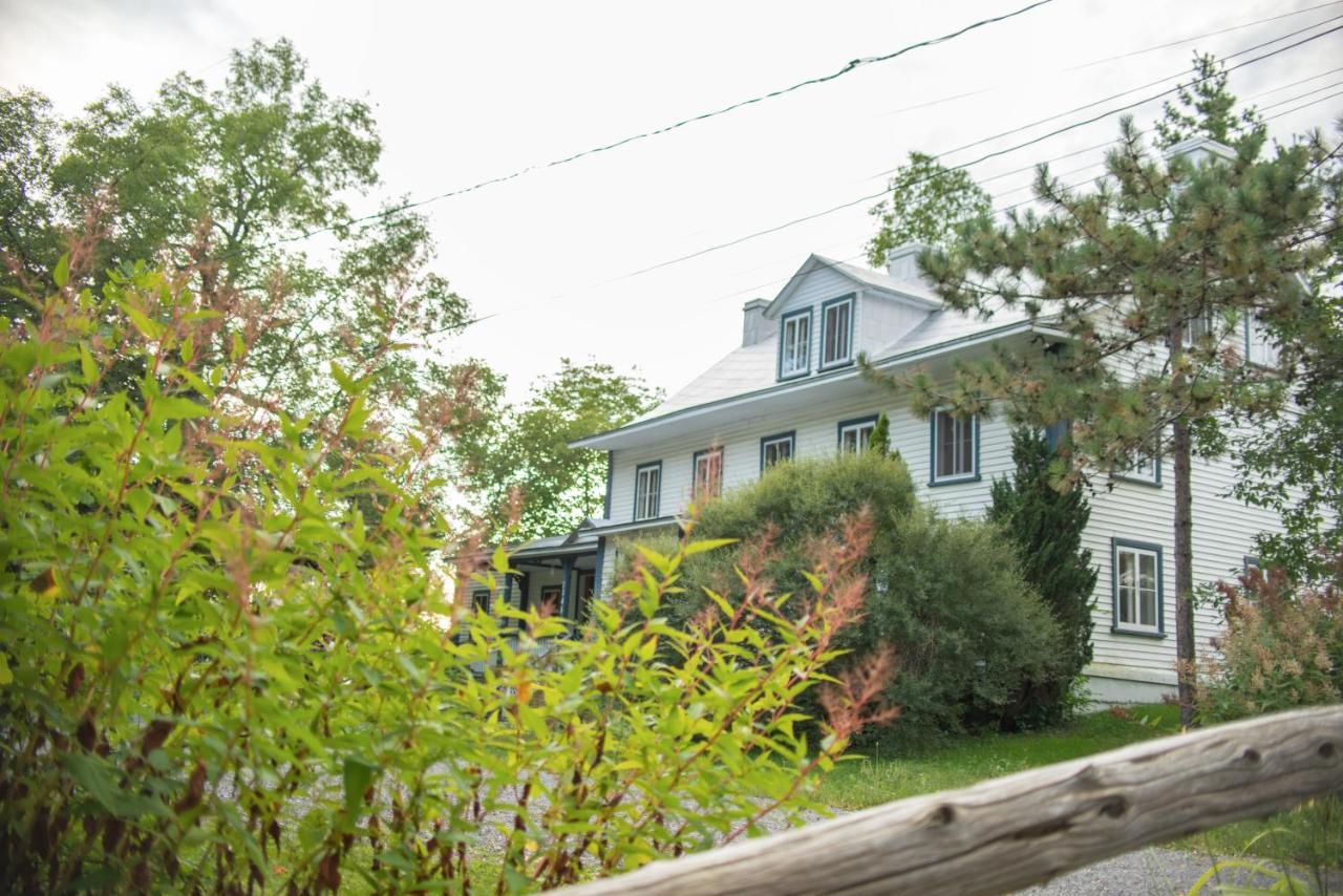 Hotel Le Triangle d'été - auberge écoresponsable&yoga à Saint-Laurent-de-l'ile d'Orleans Extérieur photo